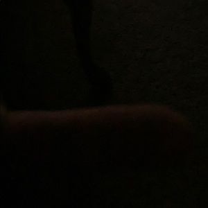 Meet your Posher, Raymond